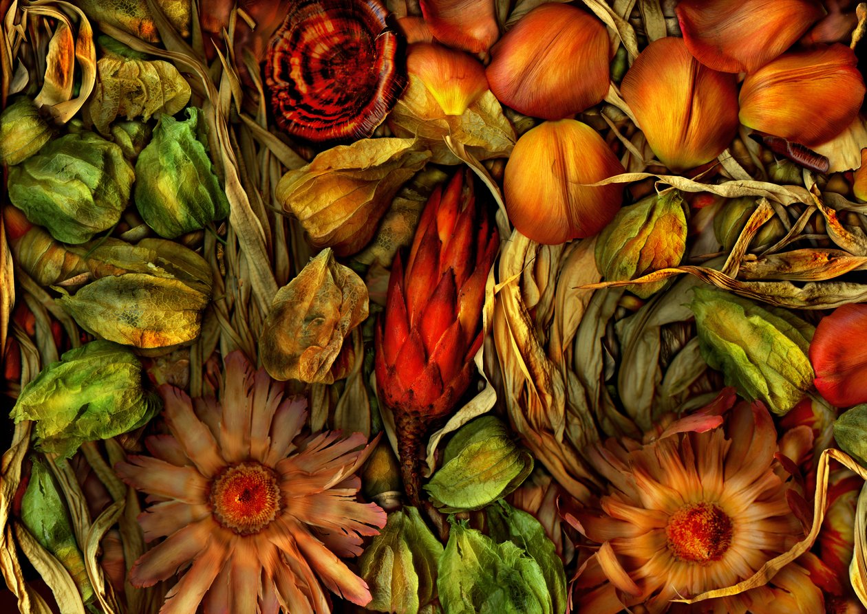  od Antonius Antonius