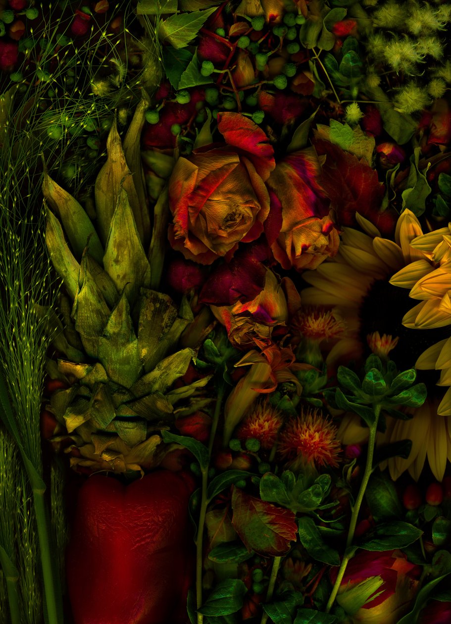  od Antonius Antonius