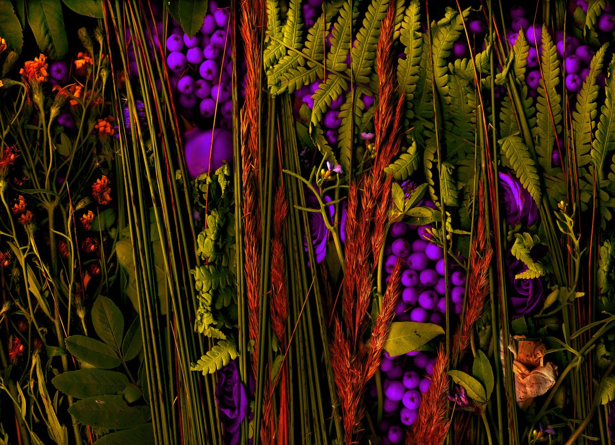  od Antonius Antonius