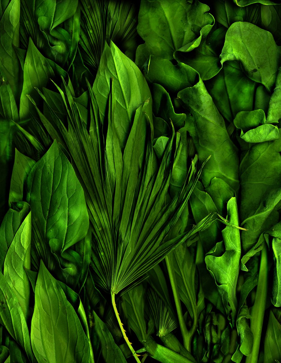  od Antonius Antonius