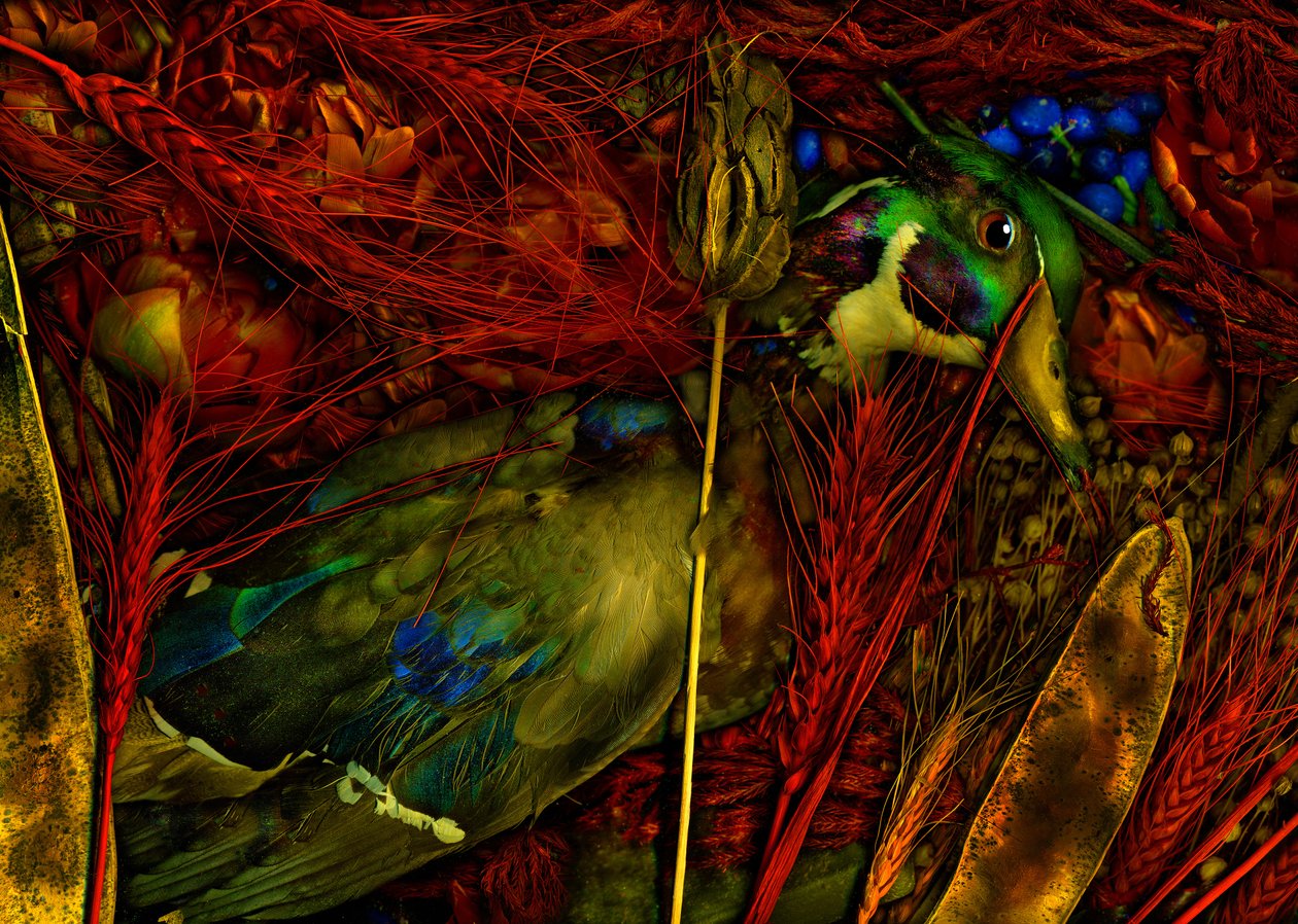  od Antonius Antonius