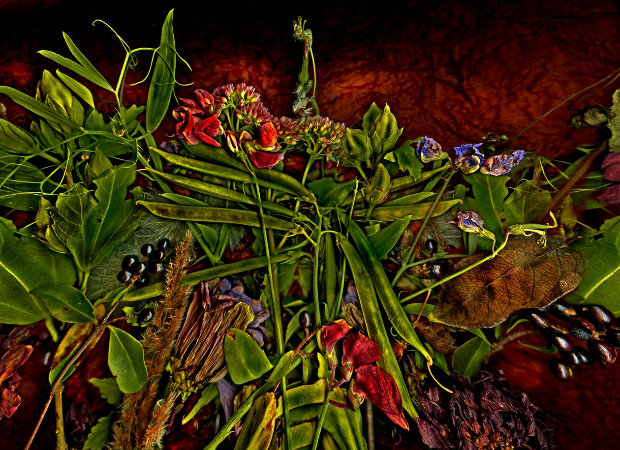  od Antonius Antonius