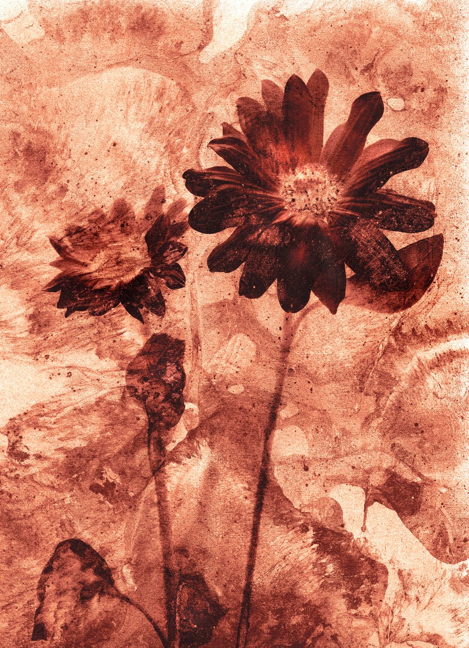  od Antonius Antonius