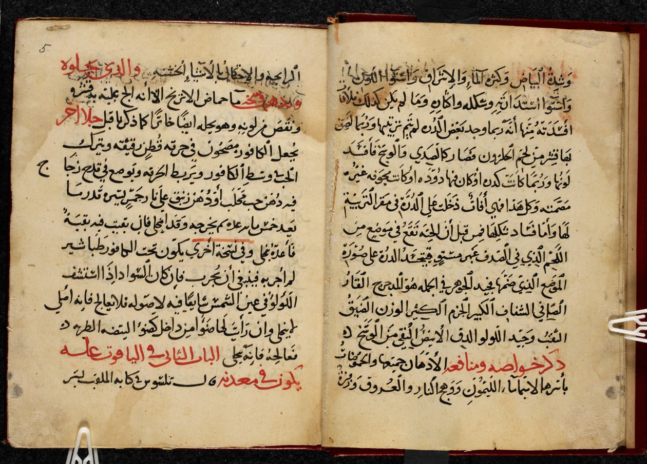 Stránky z rukopisu Kitab al-Ahjar neboli Knihy o drahých kamenech Ahmada bin Jusufa Al-Tifašiho, opsané v roce 799 n. l. (1397 n. l.). Or. 1198 od Arabic School
