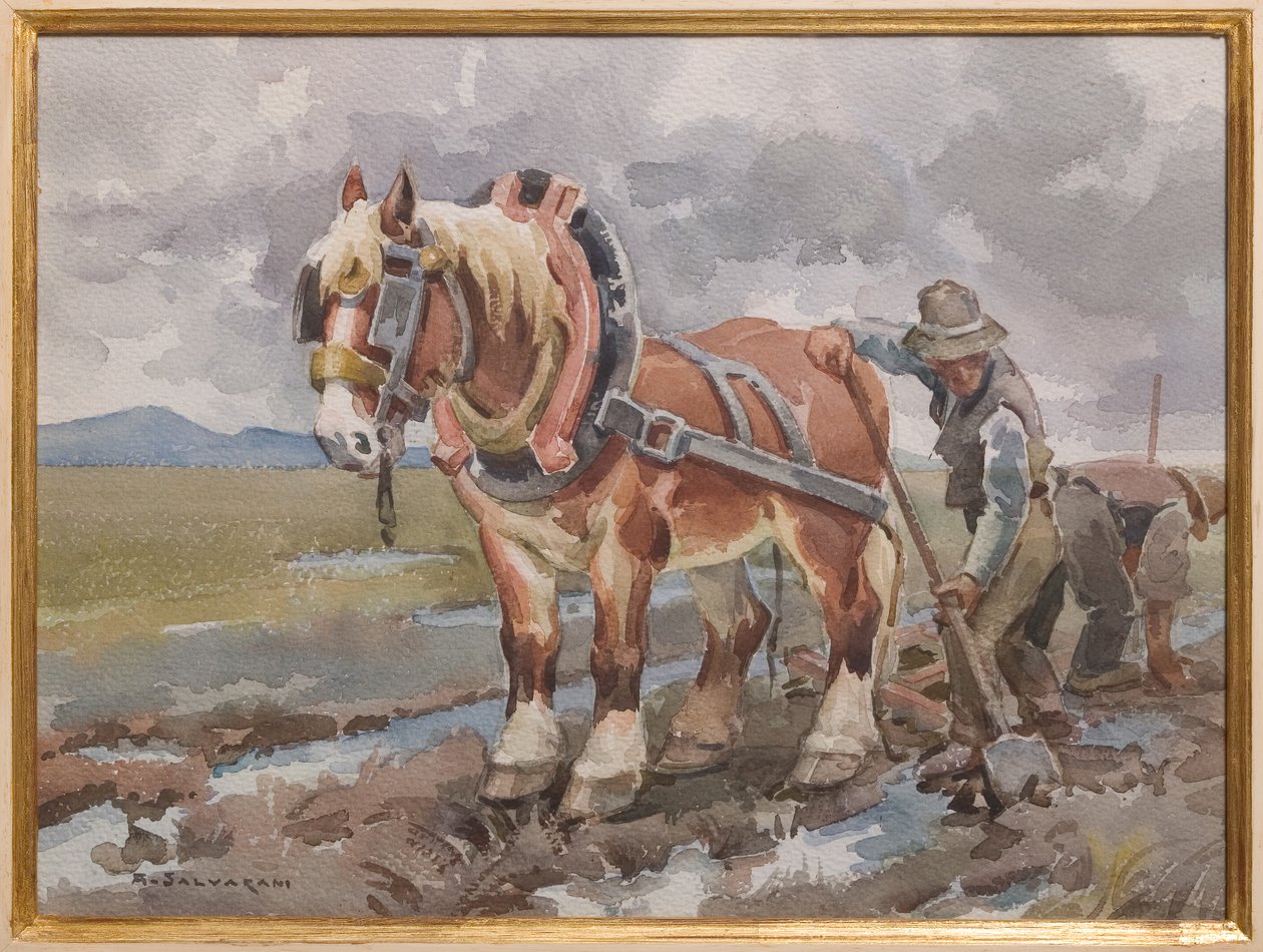 Práce na poli od Arcangelo Salvarani