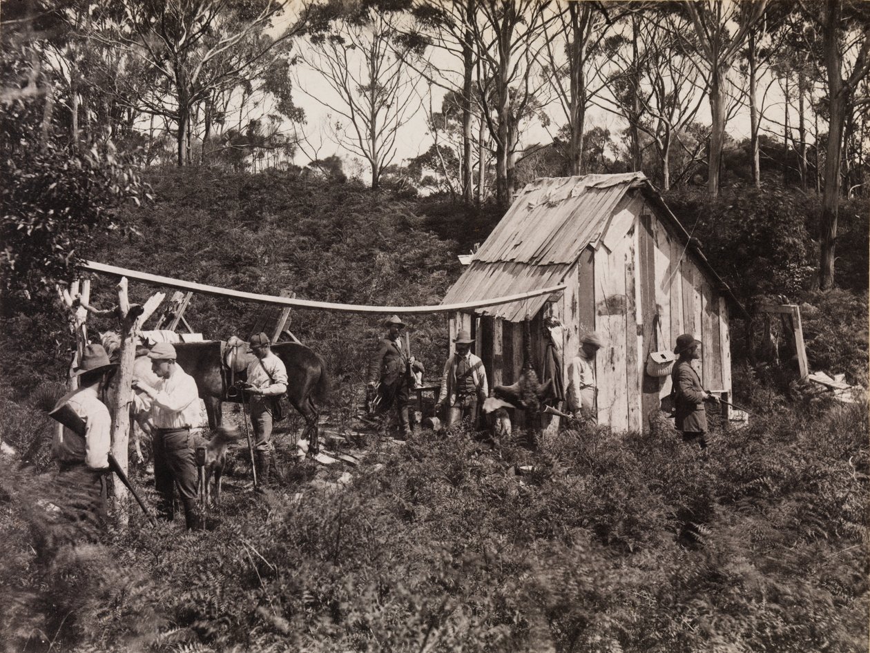 Bertieho chata, Expedice klubu polních přírodovědců na ostrov King Island od Archibald James Campbell