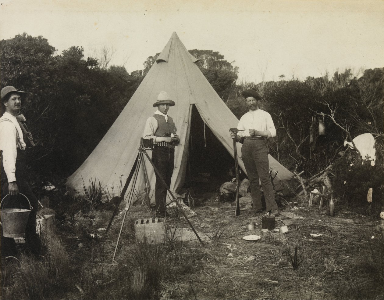 Camp View, Expedice klubu polních přírodovědců na ostrov King Island od Archibald James Campbell