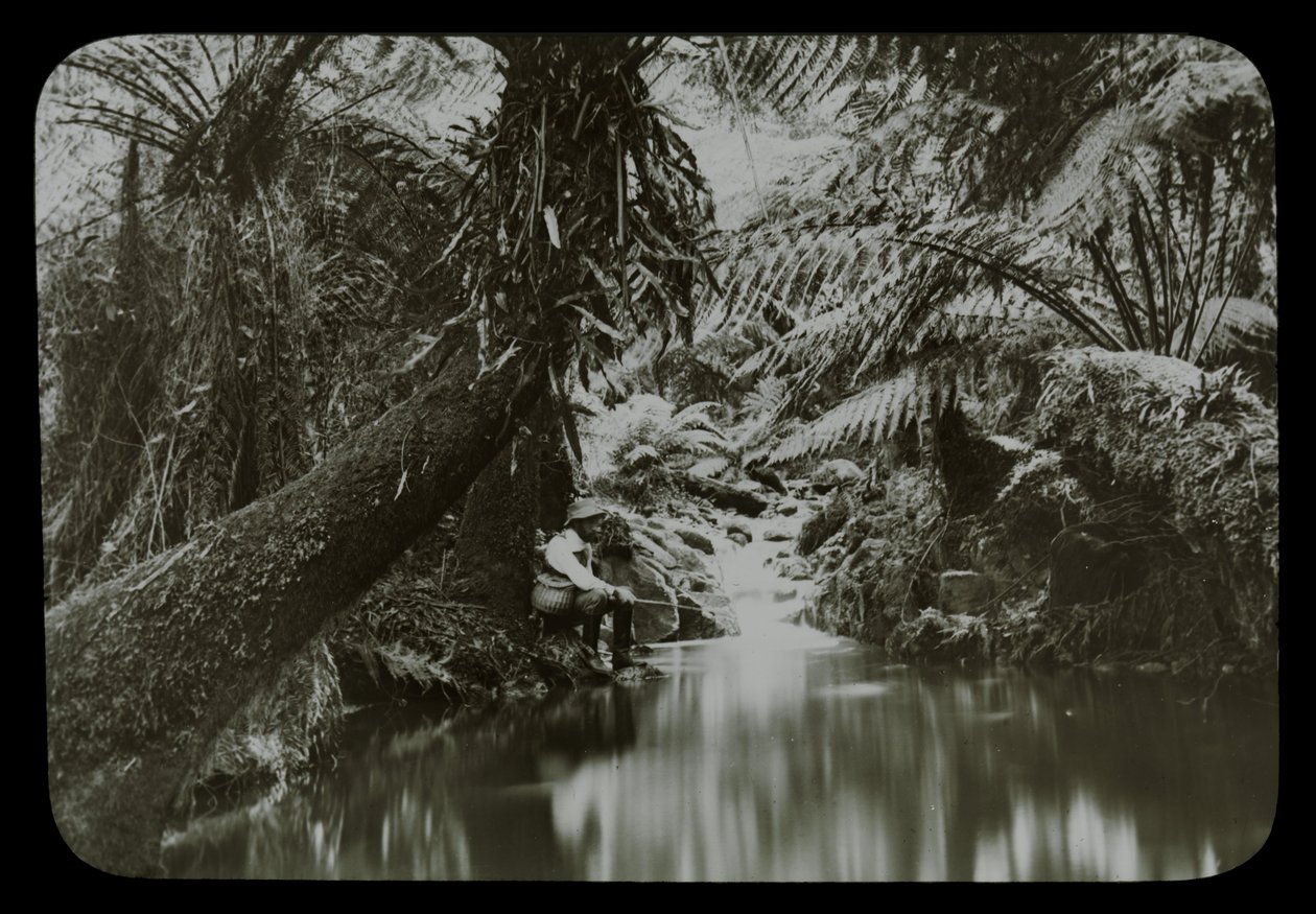 Rybářský bazén, Sassafras Gully od Archibald James Campbell
