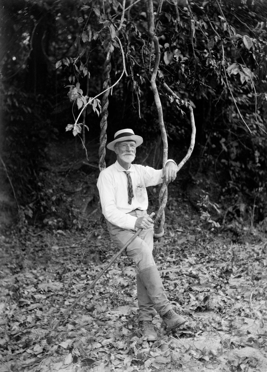 Portrét Archibalda Jamese Campbella od Archibald James Campbell
