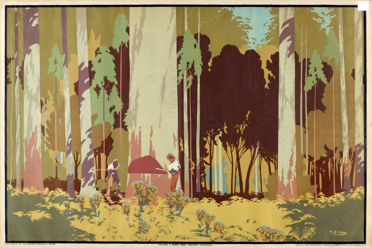 Kácení stromu Karri, Západní Austrálie, ze série „Austrálské bohatství pšenice a vlny“ od Archibald Bertram Webb