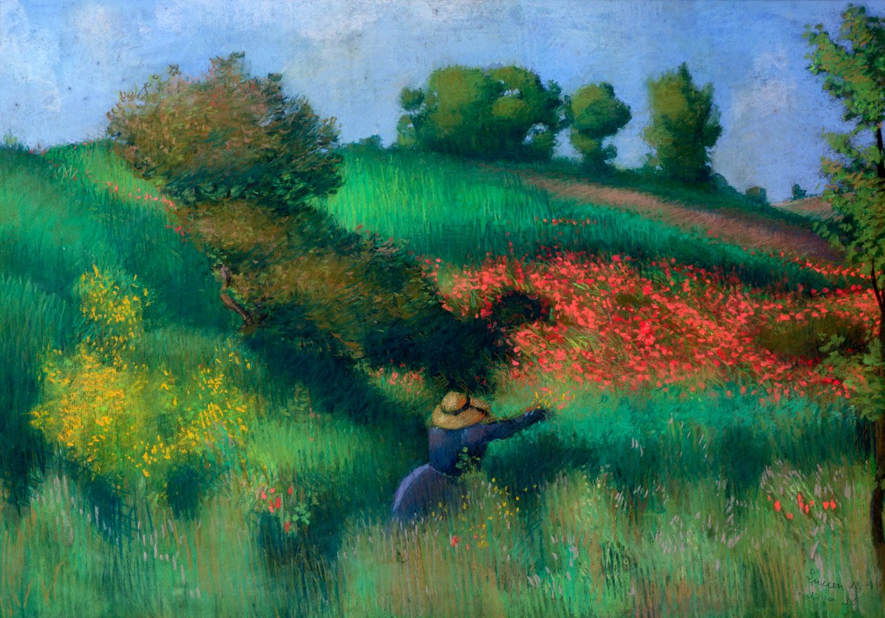 Kvetoucí krajina od Aristide Maillol