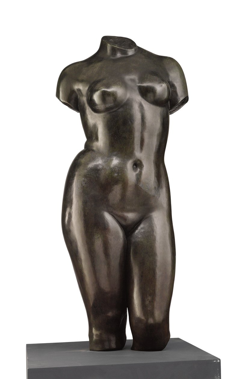 Torzo Venuše (pohled zepředu) od Aristide Maillol