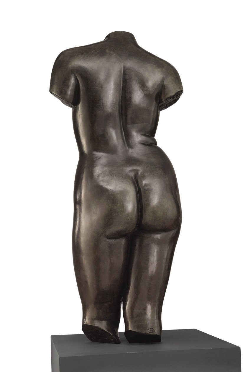 Torzo Venuše (pohled zezadu) od Aristide Maillol