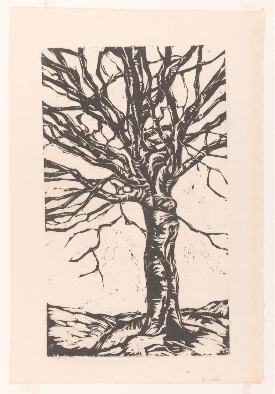 Kale boom od Arnold Pijpers (signed by artist)