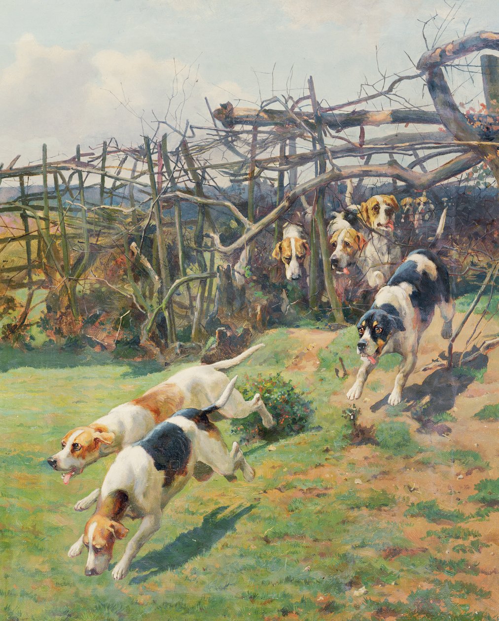 Přes plot od Arthur Charles Dodd