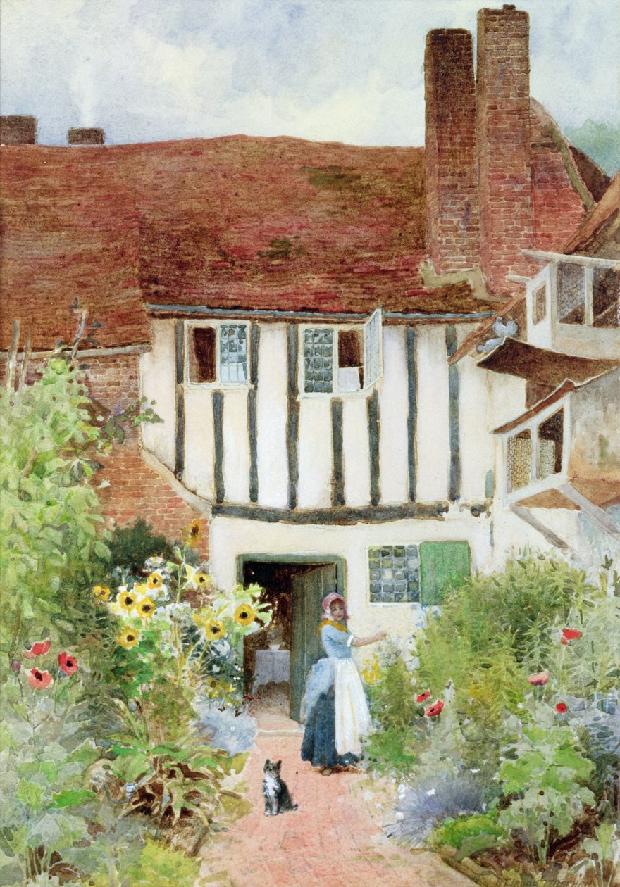 Motýli od Arthur Claude Strachan