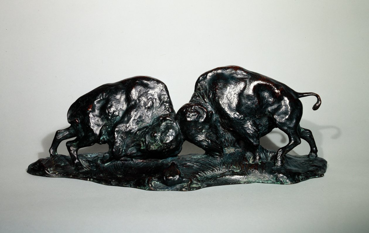 Dva bojující bizoni, 1900 (bronz) od Arthur Putnam