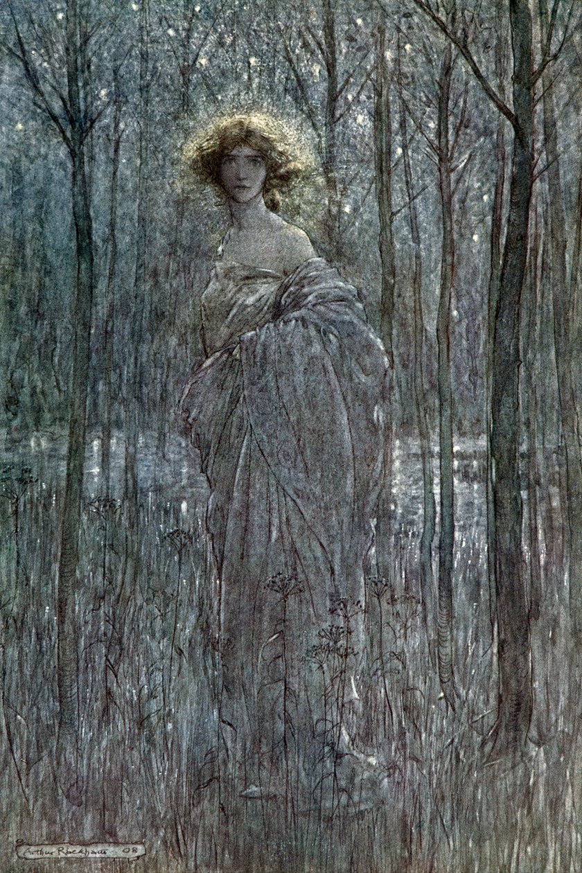 Sen noci svatojánské od Arthur Rackham