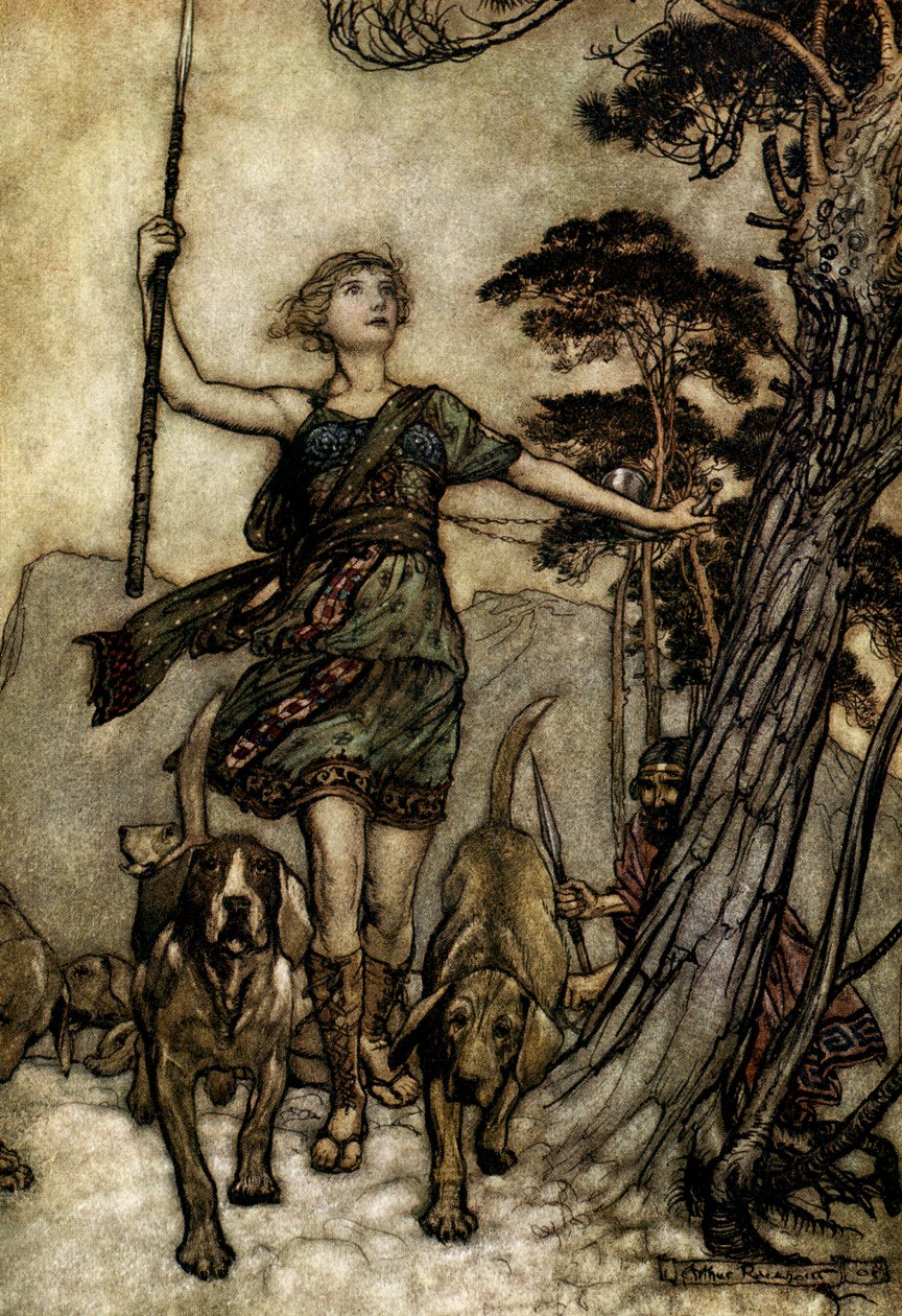 Sen noci svatojánské od Arthur Rackham