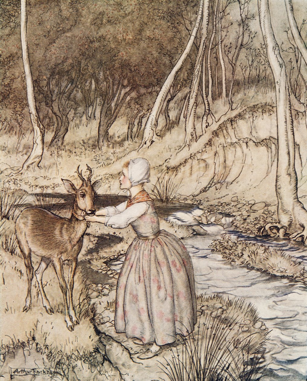 Bratr a sestřička, od Bratr a sestřička a jiné pohádky bratří Grimmů, pub.1917 od Arthur Rackham