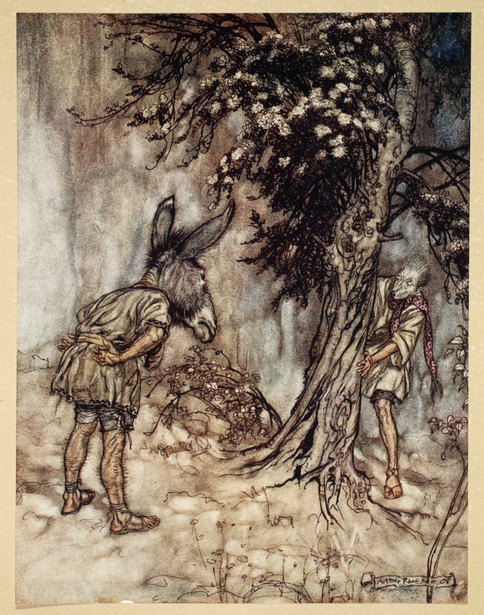 Ilustrace ze Snu noci svatojánské od Williama Shakespeara, 1908. od Arthur Rackham