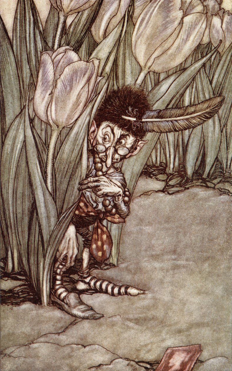 "Když uslyšel Petrův hlas, poplašeně vyskočil za tulipán", z knihy "Peter Pan in Kensington Gardens" od J. M. Barrieho (1860-1937), vydané v roce 1910. od Arthur Rackham