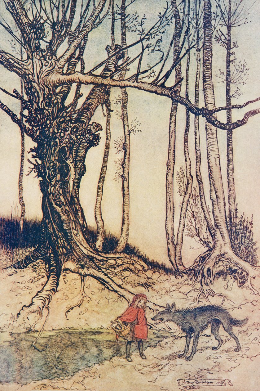 Když se dostala do lesa, potkala vlka .. z hospody Pohádky bratří Grimmů. 1909 od Arthur Rackham