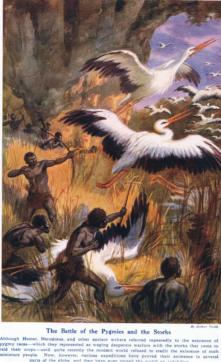 Bitva Pygmejů a čápů, ilustrace z 