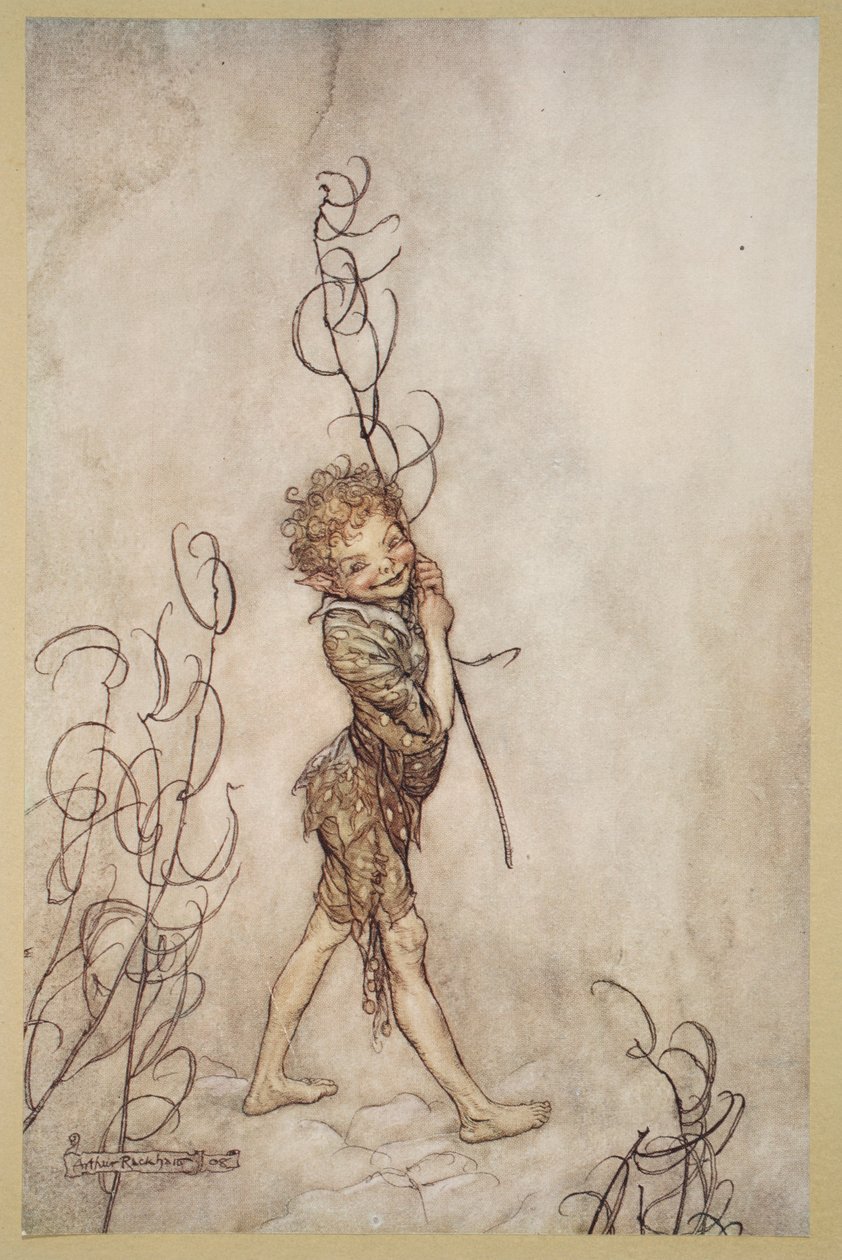 Pane, jací jsou tito smrtelníci blázni!, ilustrace ze „Snu nocí svatojánských“ od Williama Shakespeara od Arthur (after) Rackham