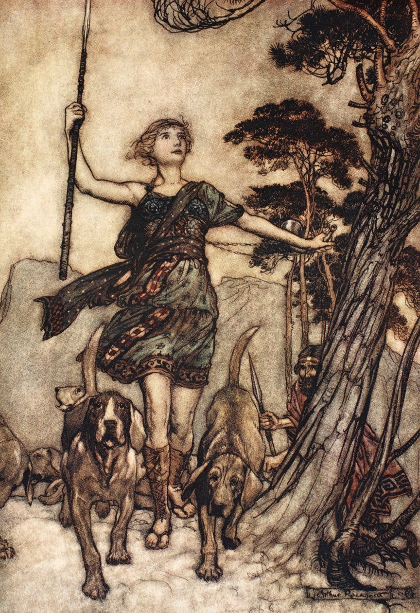 Půjdeme, krásná královno, až na vrchol hory a označíme hudební zmatek psů a ozvěny ve spojení, ilustrace ze „Snu nocí svatojánských“ od Williama Shakespeara od Arthur (after) Rackham