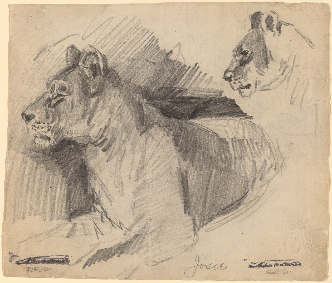 Josie od Arthur B. Davies