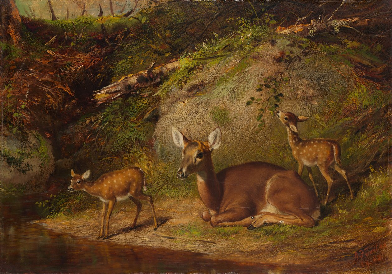 Laň a dva kolouši, 1882. od Arthur Fitzwilliam Tait