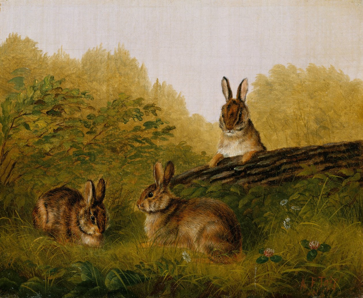 Králíci na kládě, 1897. od Arthur Fitzwilliam Tait