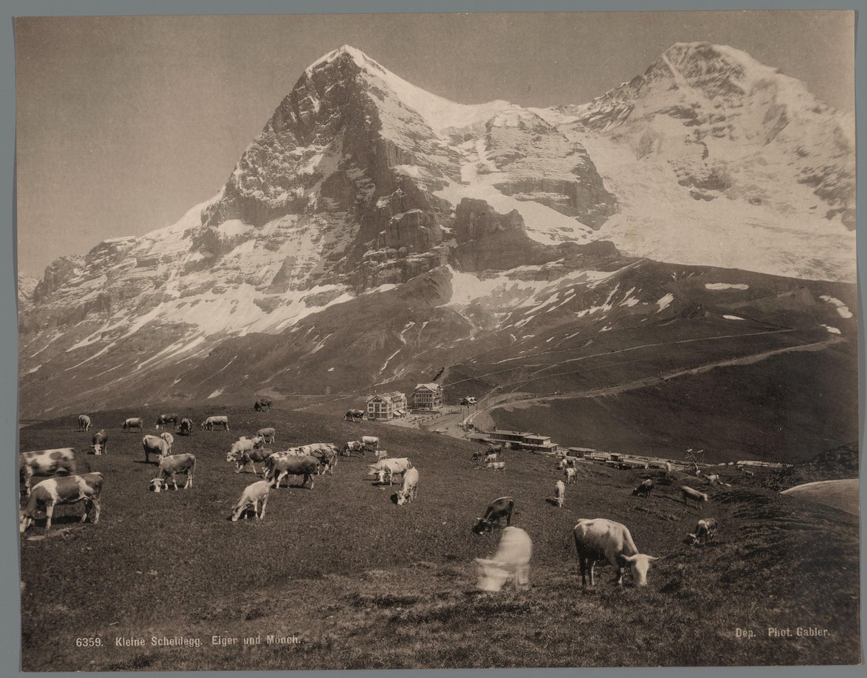 Krávy na Kleine Scheidegg v Berner Oberland, v pozadí Eiger a Mönch Kleine Scheidegg, Eiger und Moench (název na objektu) od Arthur Gabler