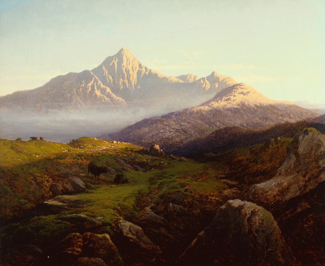 Highlandský dobytek v horské krajině (olej na plátně) od Arthur Gilbert
