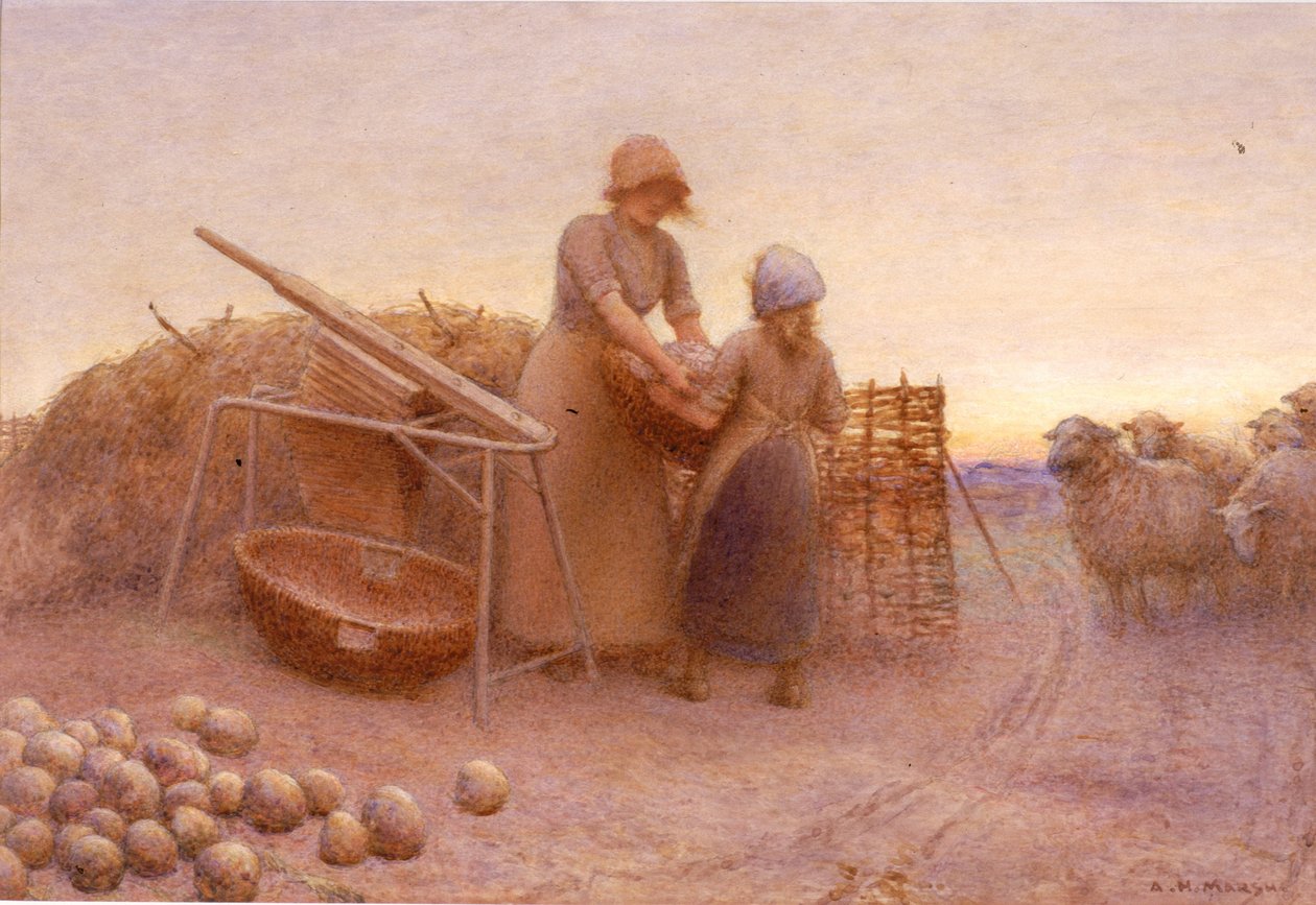 Řepař (akvarel na papíře (nalepený na desce)) od Arthur Hardwick Marsh