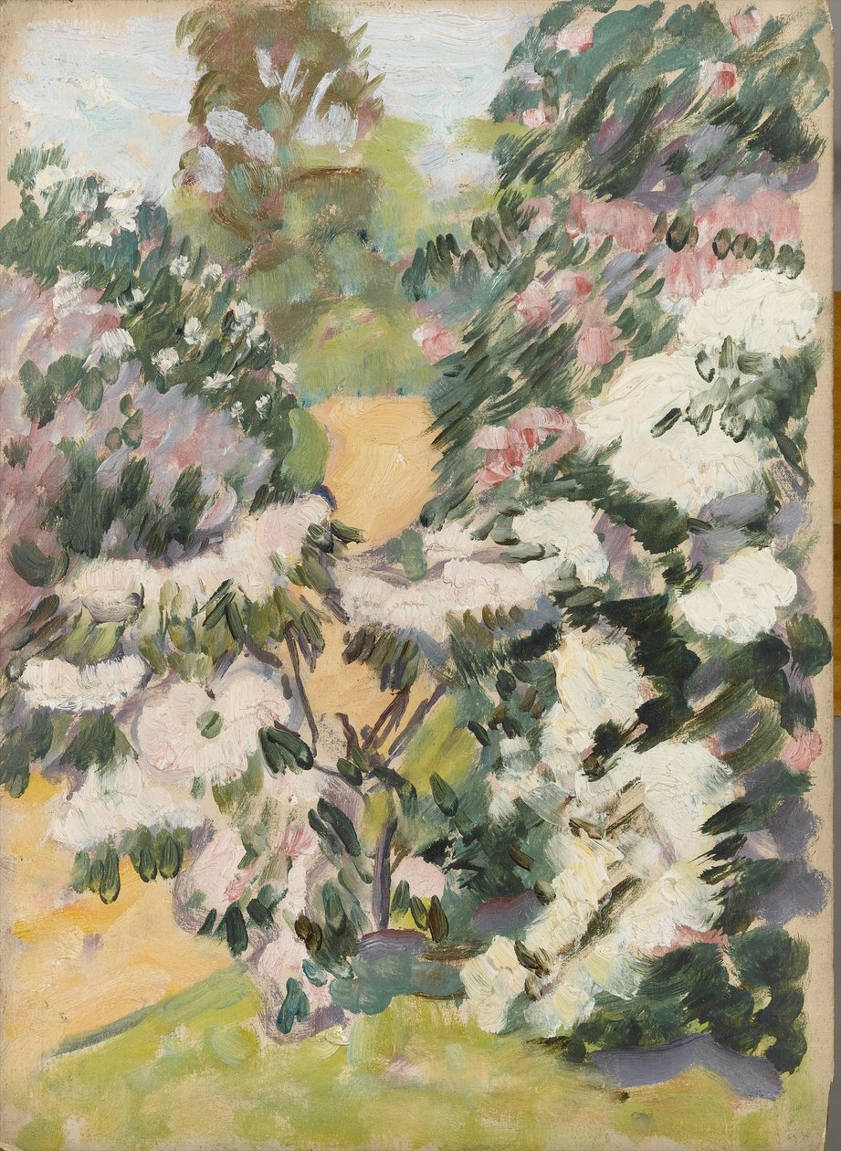 Květina, kolem roku 1900 od Arthur Haythorne Studd