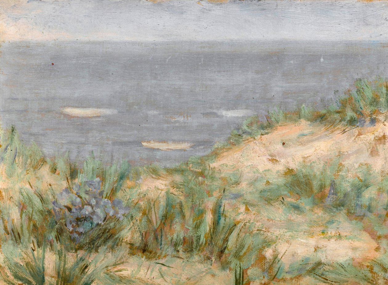 Výhled na moře s dunami, kvetoucí mořská tráva, cca 1900 od Arthur Haythorne Studd