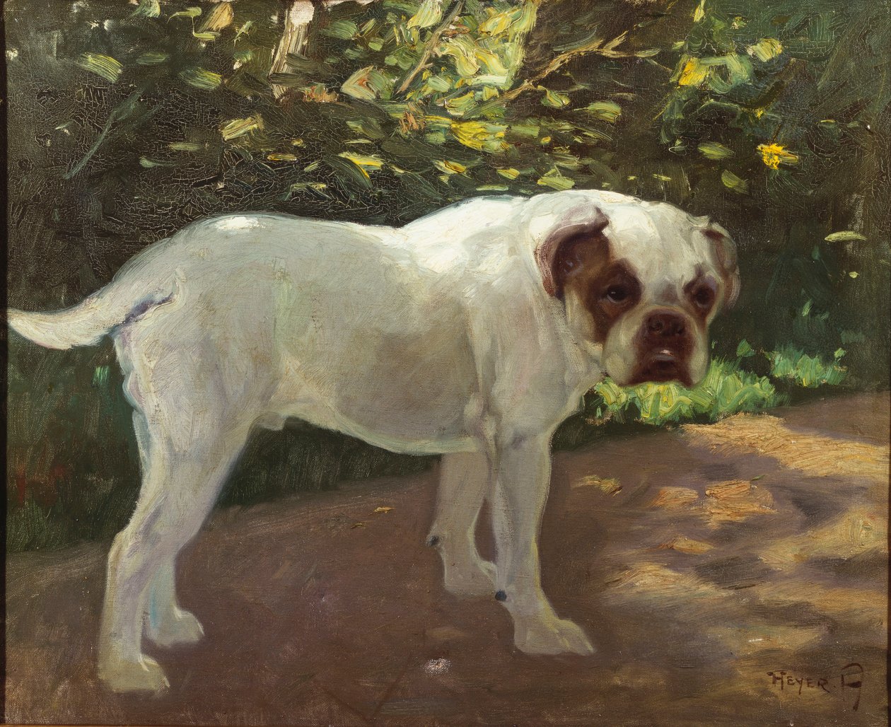 Buldok na zahradní cestě (olej na plátně) od Arthur Heyer
