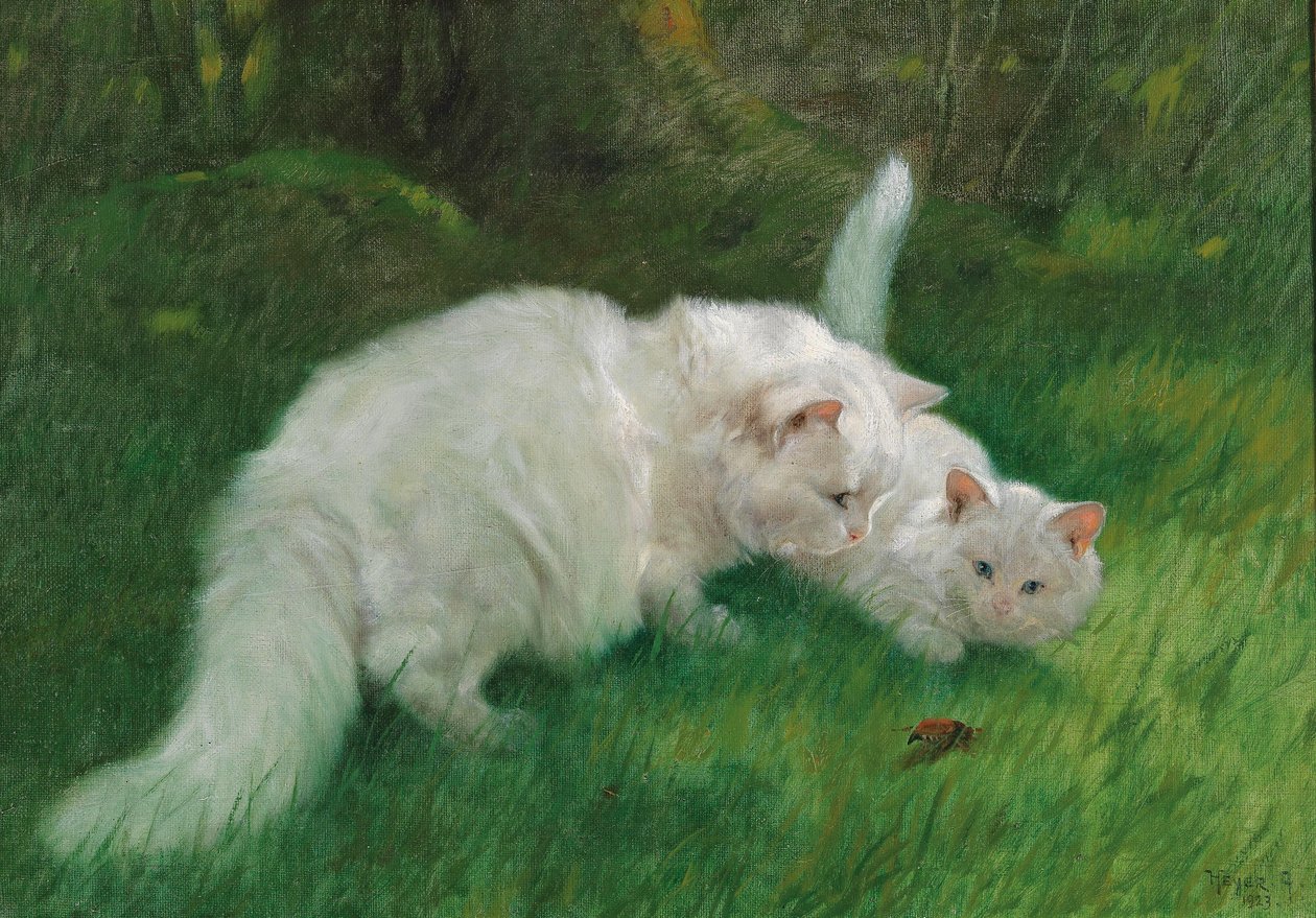 Arthur Heyer Zajímavý objev z roku 1923 od Arthur Heyer