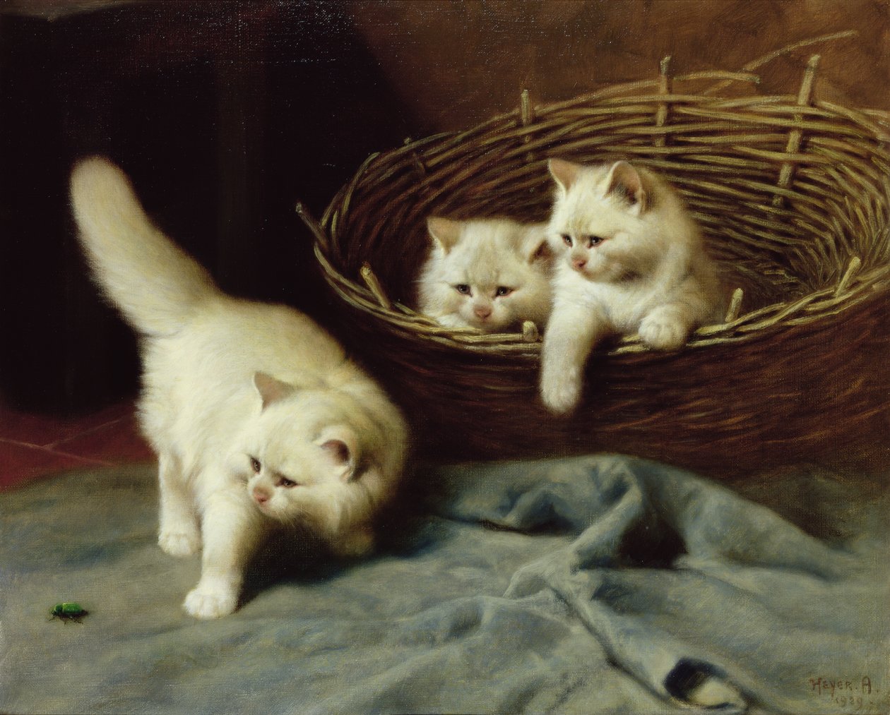 Bílá angorská koťata s broukem, 1929 od Arthur Heyer
