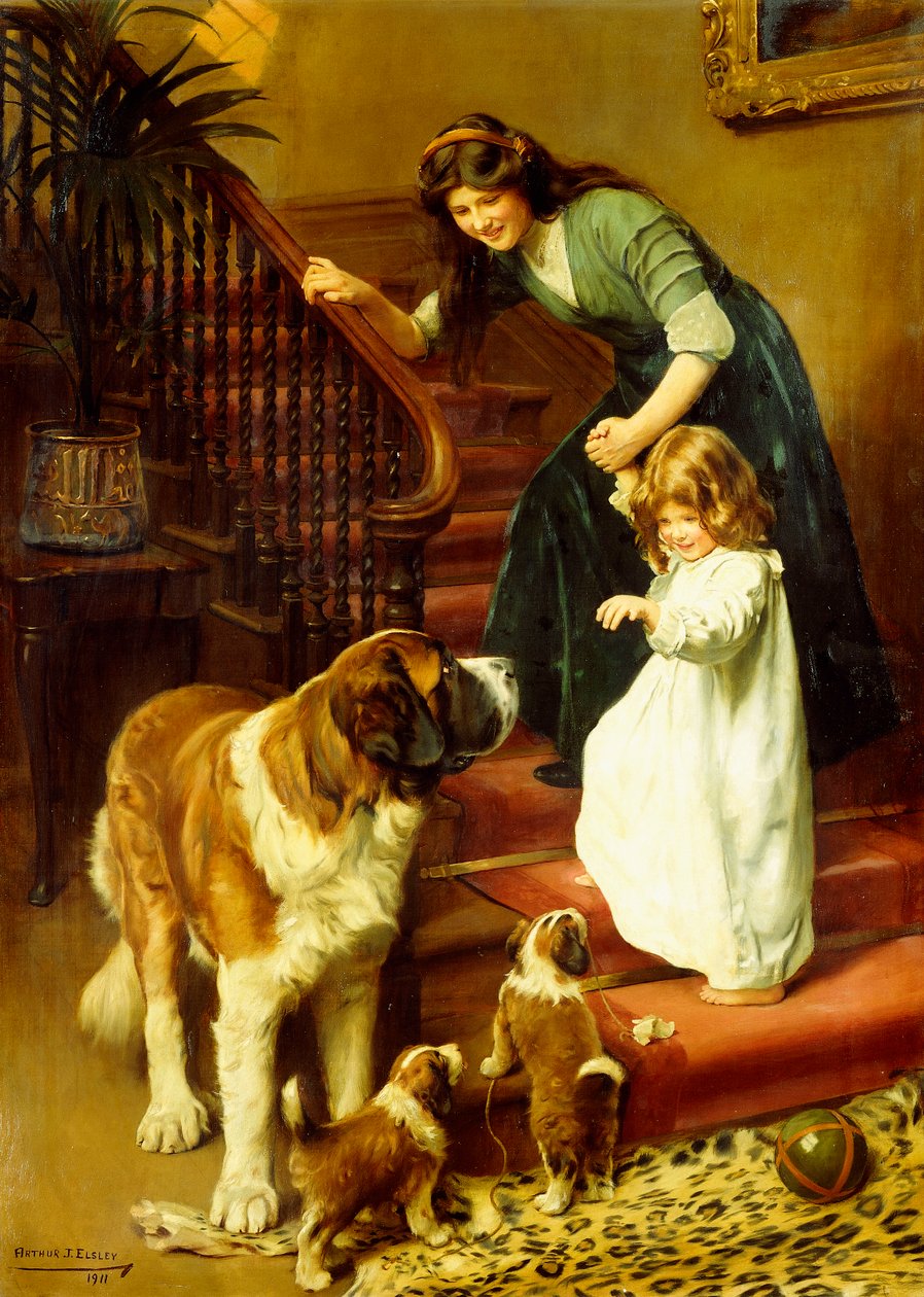 Dobrou noc od Arthur John Elsley