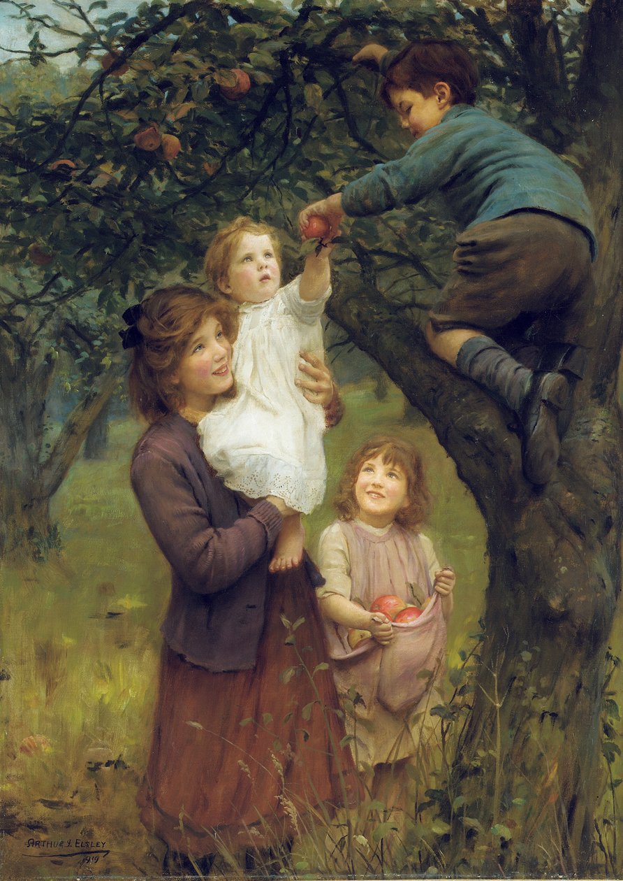 Sbírání jablek od Arthur John Elsley
