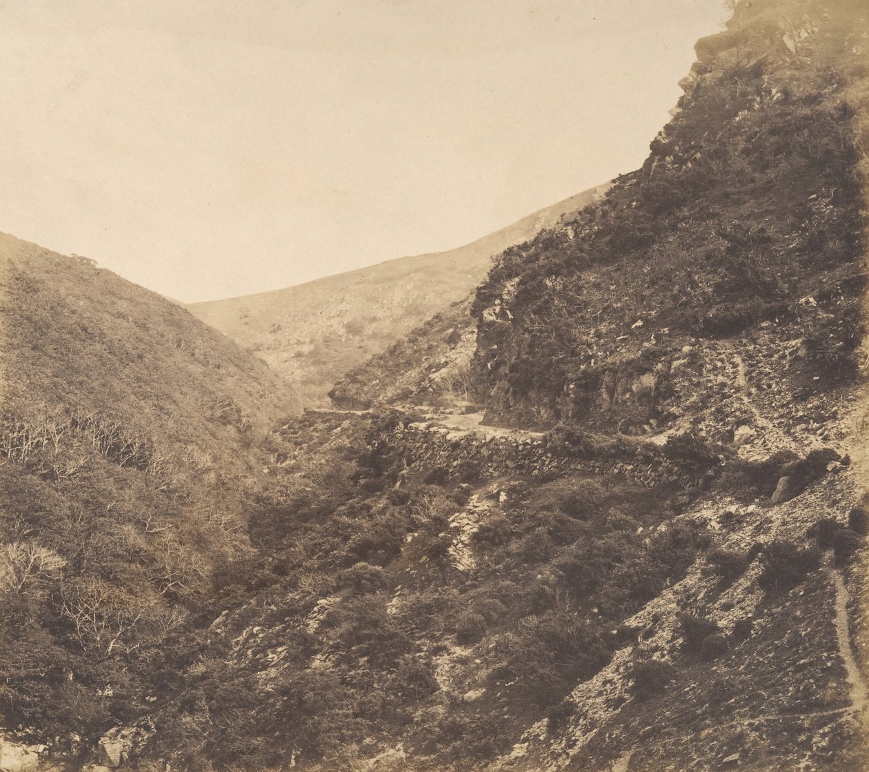 Na cestě do Watersmeet, poblíž Lynton, North Devon, 1856. od Arthur Julius Pollock