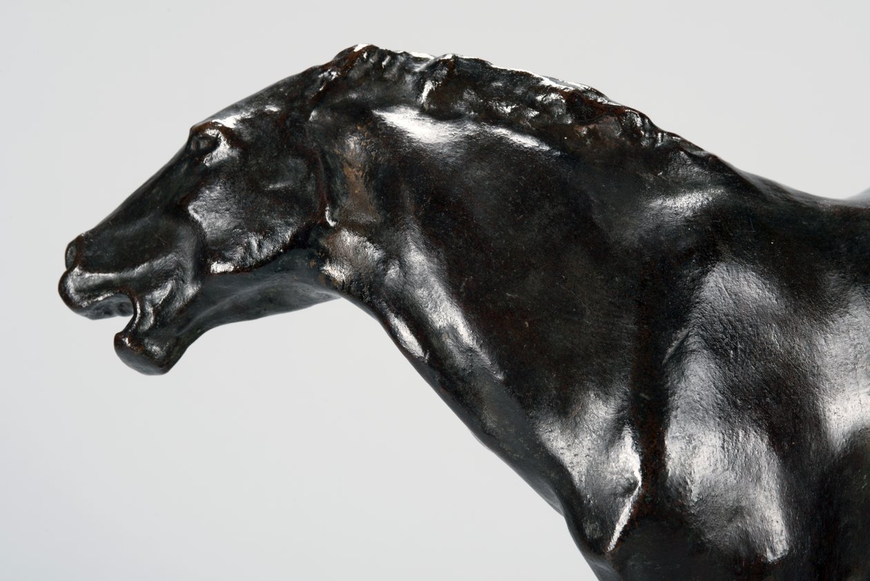 Colt (bronz) od Arthur Putnam