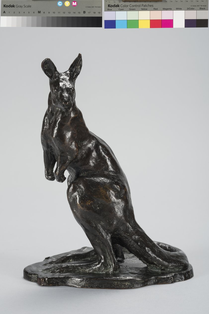 klokan (bronz) od Arthur Putnam