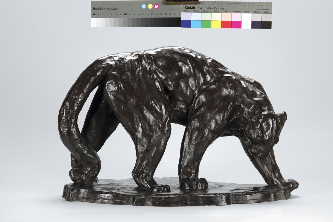 Velká Puma Vonící Ox Track od Arthur Putnam