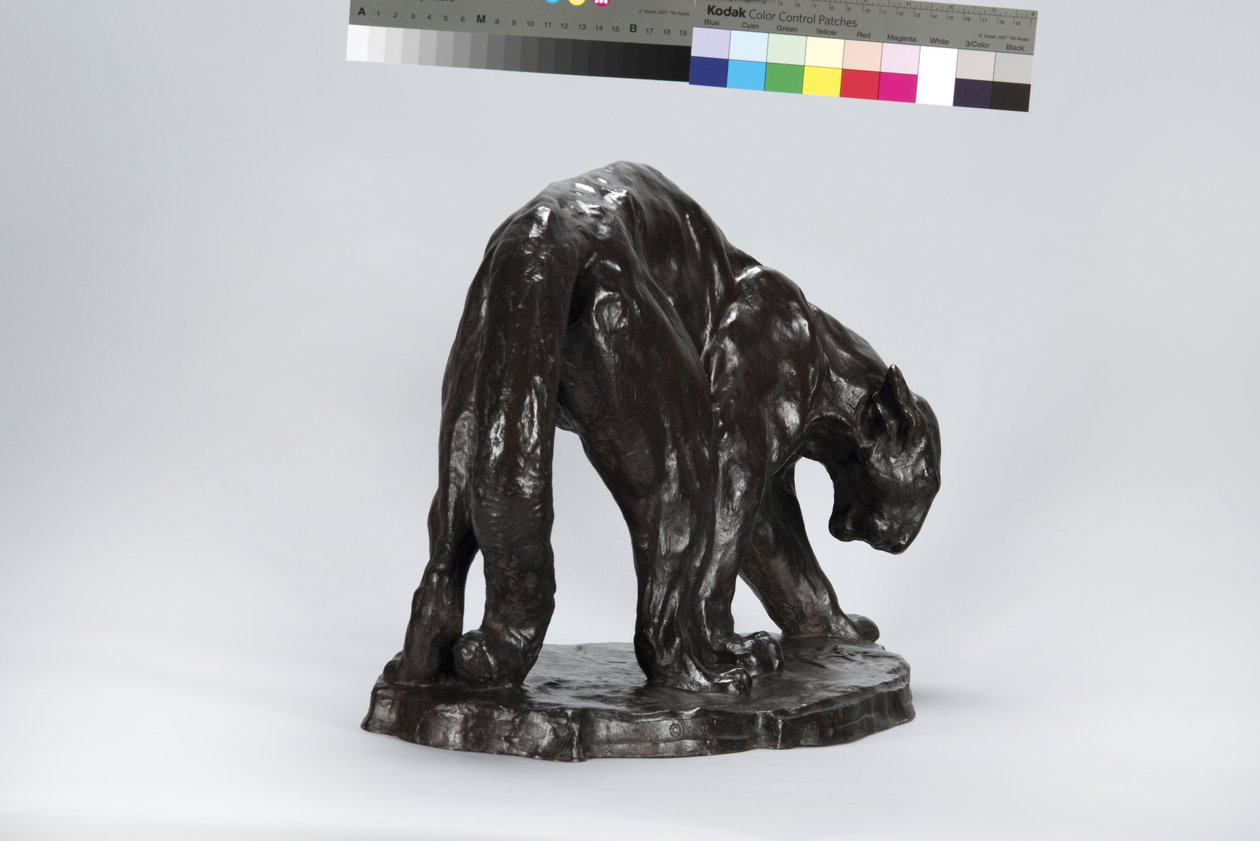 Velká Puma Vonící Ox Track od Arthur Putnam