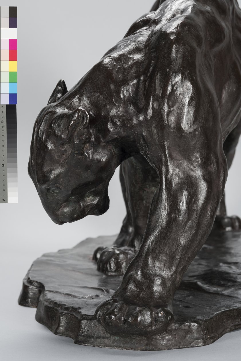 Velká Puma Vonící Ox Track od Arthur Putnam