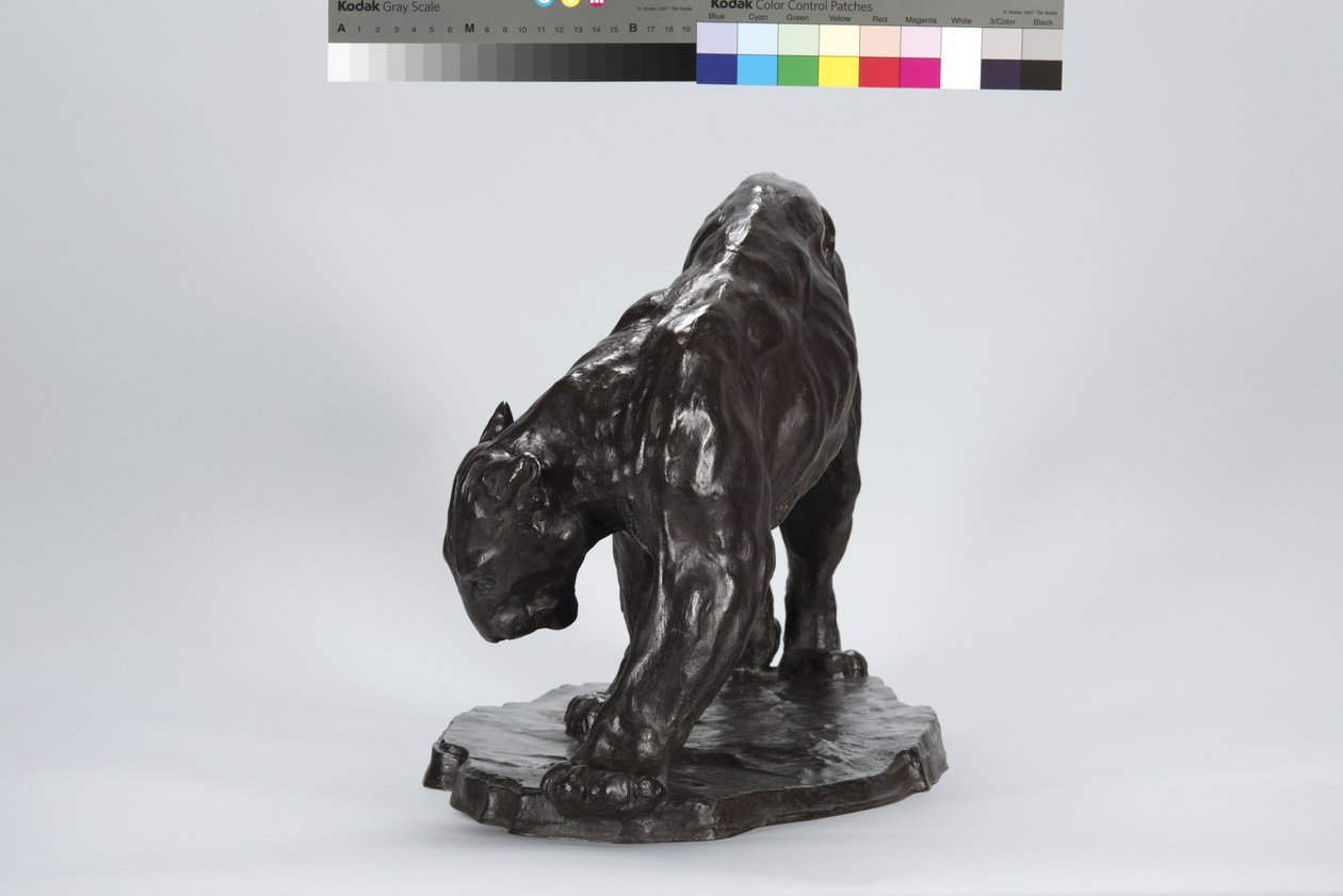 Velká Puma Vonící Ox Track od Arthur Putnam